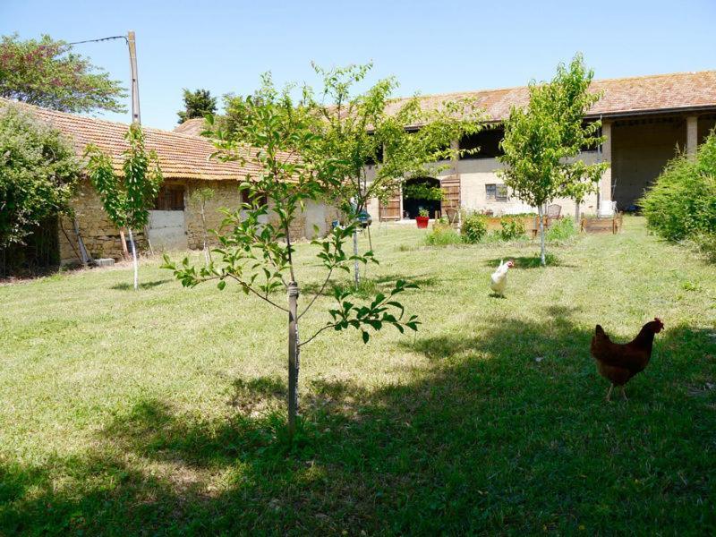 Ferme St Pierre 2 Suites Avec Repas, Piscine, Clim, Cheminee Ou Baignoire Spa Chabeuil Exterior foto